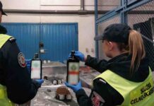 Świecko. 6,5 tys. litrów ukradzionego alkoholu jechało do Czech