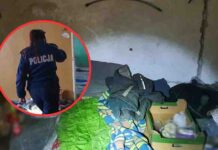 Nowa Sól. Dla nich mróz jest śmiertelnie niebezpieczny, ruszyły kontrole pustostanów