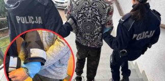 Siekierą i pistoletem zaatakowali ekspedientkę. Wpadli po kilku minutach