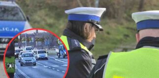 Zielona Góra. W mieście trwa nowa akcja drogówki