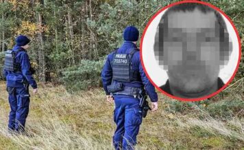 Krosno Odrzańskie. Makabryczny finał poszukiwań zaginionego grzybiarza