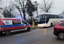 Wypadek w Krzeszycach. Autobus potrącił mężczyznę na przejściu dla pieszych