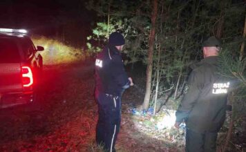 Ale wstyd. 22-latek wyrzucił śmieci w lesie
