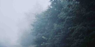 Lubuskie. Uwaga kierowcy, to będzie ciężka noc i pranek