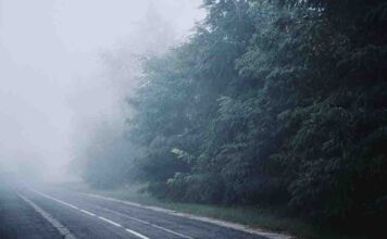 Lubuskie. Uwaga kierowcy, to będzie ciężka noc i pranek