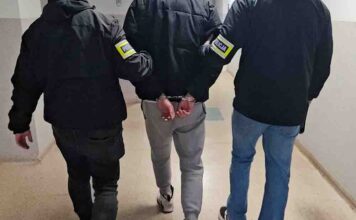 Zielona Góra. Drukowali pieniądze i płacili nimi. Trzej 20-latkowie aresztowani (FILM, ZDJĘCIA)