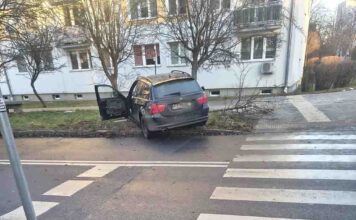 Zielona Góra. Ludzie zatrzymali pijanego i agresywnego kierowcę BMW, uderzył w drzewo (FILM, ZDJĘCIA)