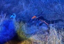 Policjanci jadąc na interwencję zauważyli rękę wystającą z rowu na poboczu drogi