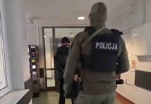 Potężne uderzenie w gang tytoniowy. Zarobili dziesiątki milionów złotych