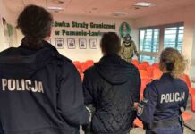 Ukrainiec deportowany z kraju. Sam sobie winien