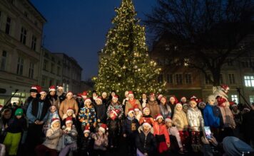 Zielona Góra. Choinka już świeci, miasto opanowała magia świąt (ZDJĘCIA)