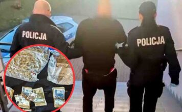 Wpadł diler z Żagania. Handlował dużymi ilościami narkotyków