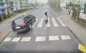 Zielona Góra. Sekunda do tragedii, na pasach była kobieta z dzieckiem. Do 67-letniej kierującej dotarła policja