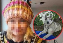 Makabryczny finał poszukiwań zaginionej 39-latki. Znaleziono ciało