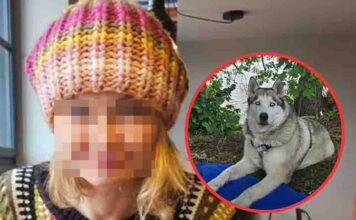 Makabryczny finał poszukiwań zaginionej 39-latki. Znaleziono ciało