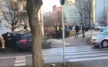 Zielona Góra. Ludzie zatrzymali pijanego i agresywnego kierowcę BMW, uderzył w drzewo (FILM)