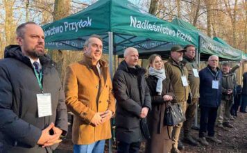 Zielona Góra. Mamy rezerwat przyrody, a w nim sześć unikalnych gatunków grzybów i ponad 500 gatunków motyli