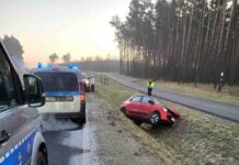 Renault wypadło z drogi i zaryło w pobocze. Na miejscu zielonogórska policja (ZDJĘCIA)