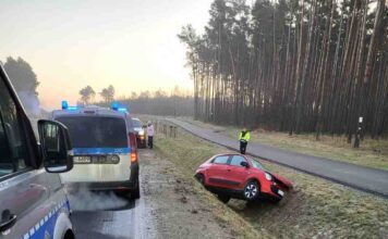 Renault wypadło z drogi i zaryło w pobocze. Na miejscu zielonogórska policja (ZDJĘCIA)