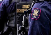 Zdewastowali wiadukt kolejowy w Czerwieńsku. Wszyscy zostali zatrzymani