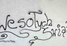 Porysowała samochody i pomalowała elewacje. To była jej… artystyczna wizja