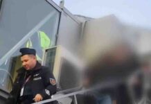 Lubuszanin poszukiwany ENA zatrzymany w Holandii. Chodzi o handel narkotykami