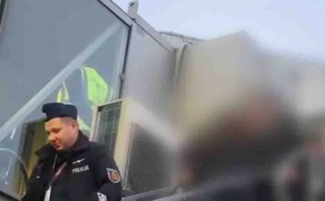 Lubuszanin poszukiwany ENA zatrzymany w Holandii. Chodzi o handel narkotykami