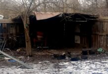 Traktował psa jak przedmiot. To wstrząsające