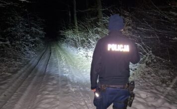 Spacer zamienił się w dramat. Szczęśliwy finał akcji w lesie pod Sulechowem