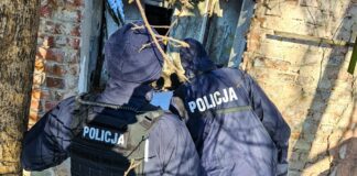 Zielona Góra. Mróz jest dla nich zabójczy, policja prowadzi kontrole