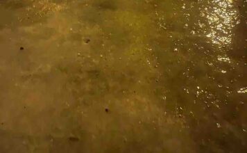 Lubuskie sparaliżowane ślizgawicą. Szkoły odwołują lekcje, paraliż na kolei oraz w transporcie