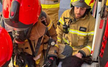 Świebodzin. Brawo strażacy, uratowali kotka z pożaru domu, podali mu tlen (FILM)