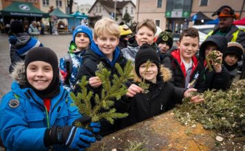 Zielona Góra w akcji. Eko Choinka i edukacja ekologiczna dla najmłodszych (ZDJĘCIA)
