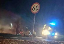 Śmiertelny wypadek na DK 32 koło Sulechowa. Sprawca aresztowany