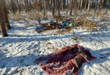 Spał na mrozie w lesie koło Trzebiechowa. Pomogli mu dzielnicowi