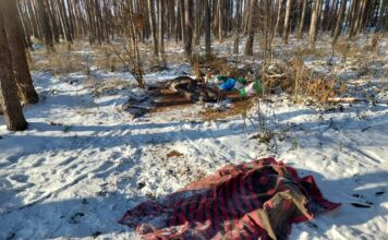 Spał na mrozie w lesie koło Trzebiechowa. Pomogli mu dzielnicowi