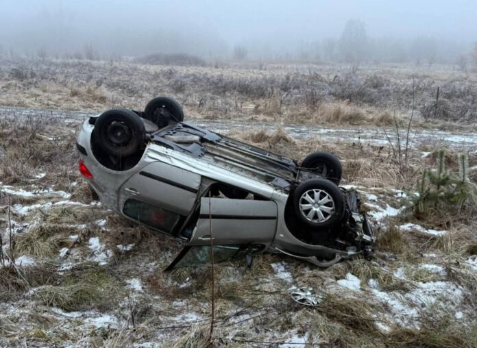 FB_IMG_1769411224213