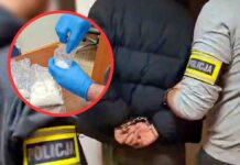 Zielona Góra. Wpadł diler, w mieszkaniu miał mefedron wart 50 tys. zł