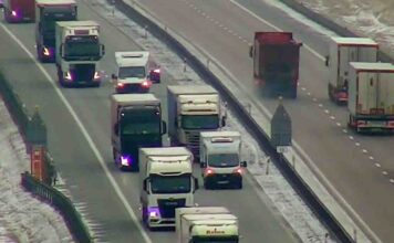 Akcja lubuskiej policji na autostradzie A2. Pod lupą kierowcy ciężarówek (FILM)