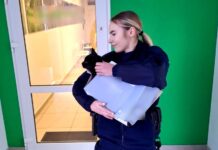 Policjanci nie byli obojętni, uratowali potrąconego kota
