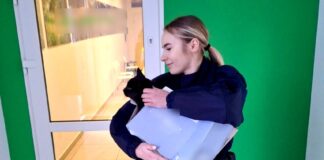 Policjanci nie byli obojętni, uratowali potrąconego kota