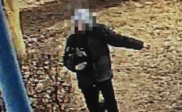 Brutalny napad na 82-latkę. Sprawca wyrwał seniorce torebkę