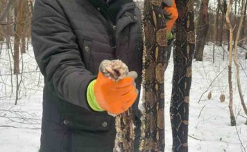 Szokujące znalezisko w lesie. Jak można tak postąpić