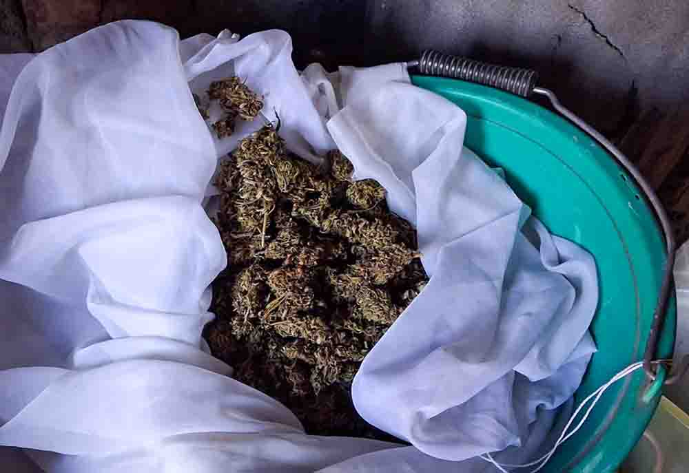 Wpadł poszukiwany. Karę odsiedzi w areszcie w Zielonej Górze, a jeszcze w domu miał narkotyki  