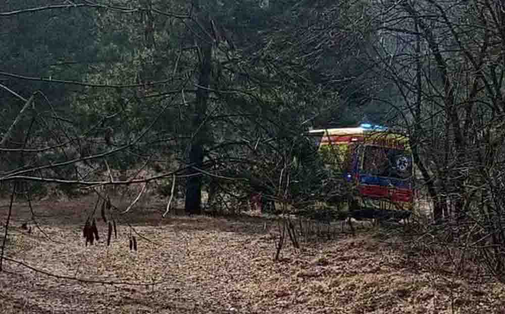 Tragedia w lesie. Zbierali szyszki. Jedna osoba nie żyje, druga walczy o życie