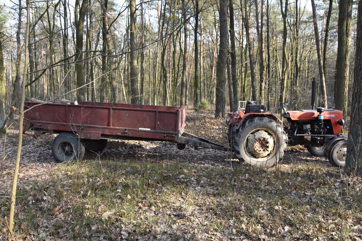 Tragedia podczas pracy w lesie. Nie żyje mężczyzna