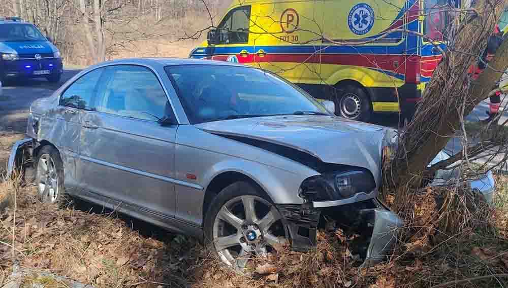 Krosno Odrzańskie. 22-latek uderzył BMW w drzewo
