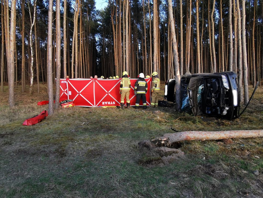 Poważny wypadek. BMW uderzyło w drzewo, walka o życie jednej osoby (ZDJĘCIA)