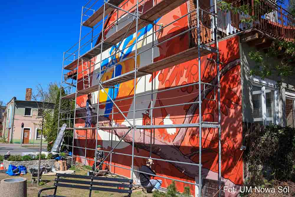 Nowa Sól. niedługo powstanie nowy piękny mural. Zimorodki wyłaniają się ze ściany