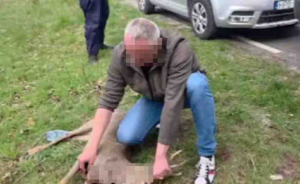 Wstrząsające. Poderżnął na żywca gardło rannemu koziołkowi, była też policja